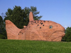 brick salmon in red deer