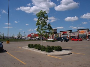 camrose shopping